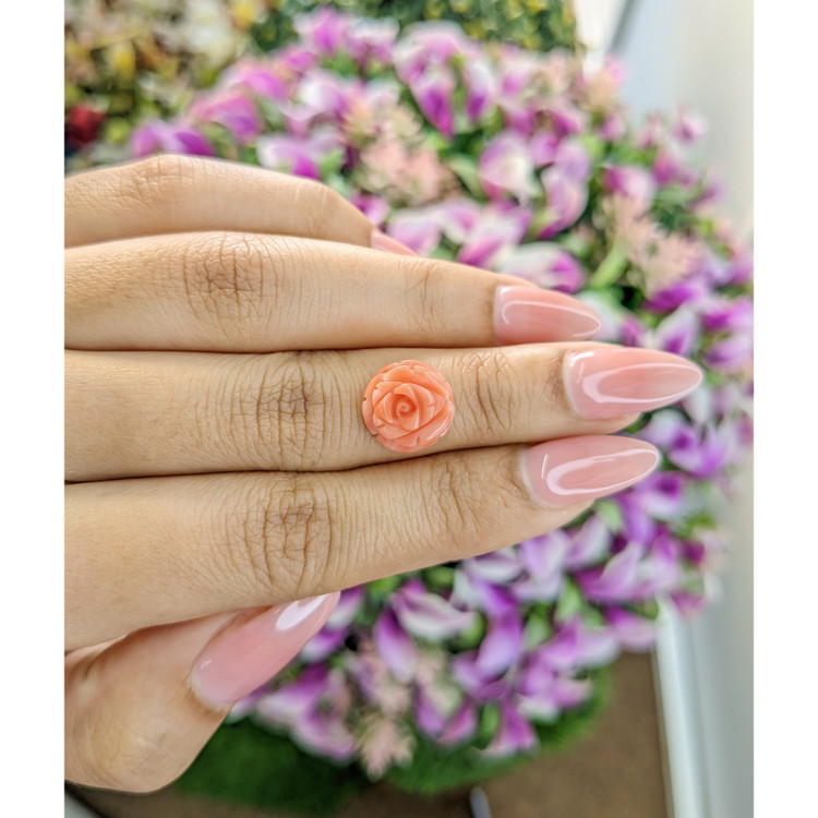 4.68 Ct. Coral from Australia