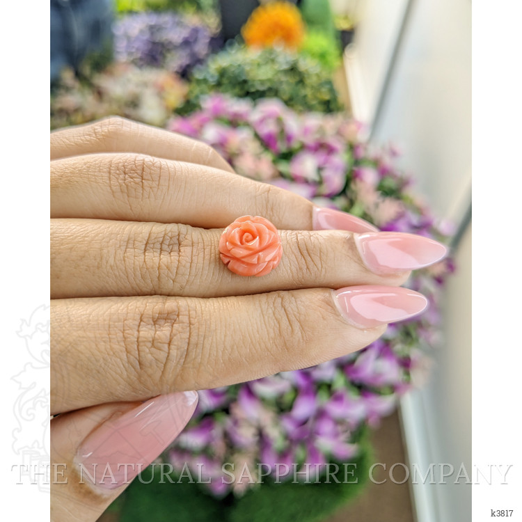 4.68 Ct. Coral from Australia