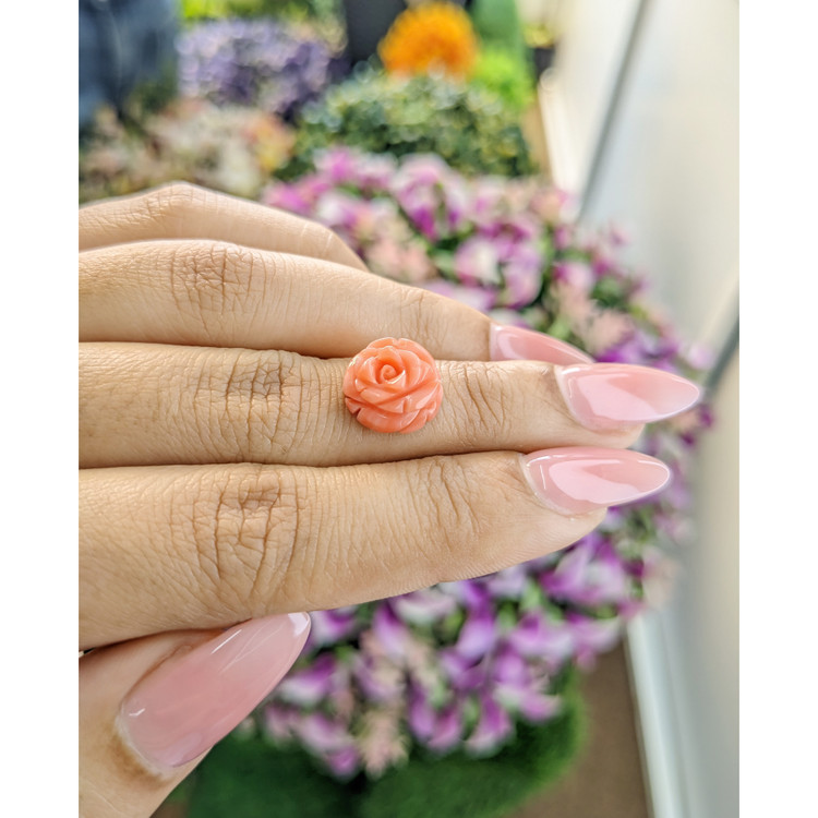 4.68 Ct. Coral from Australia