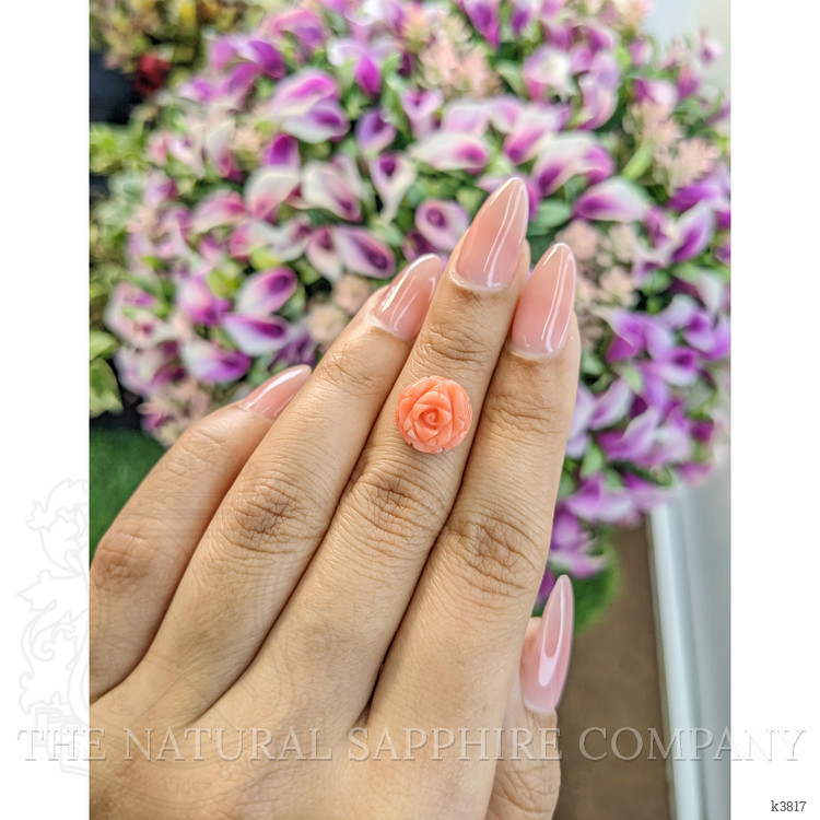 4.68 Ct. Coral from Australia