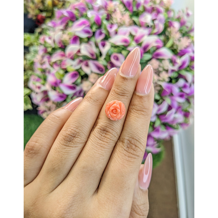 4.68 Ct. Coral from Australia