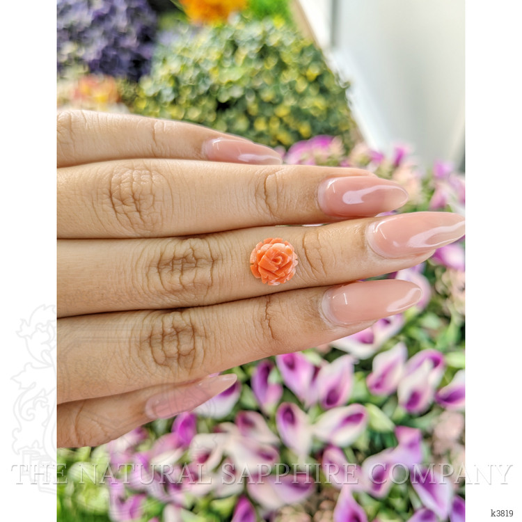 1.81 Ct. Coral from Australia