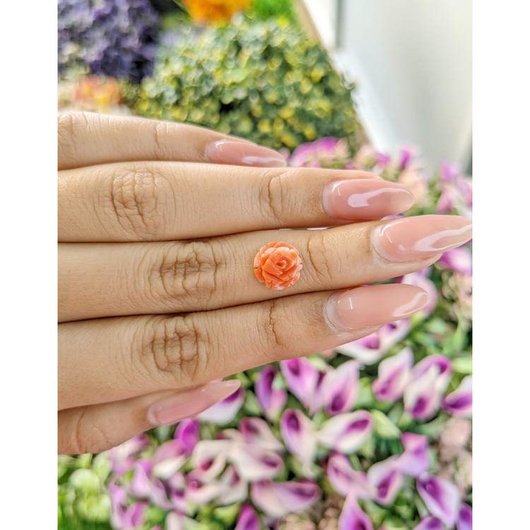 1.81 Ct. Coral from Australia