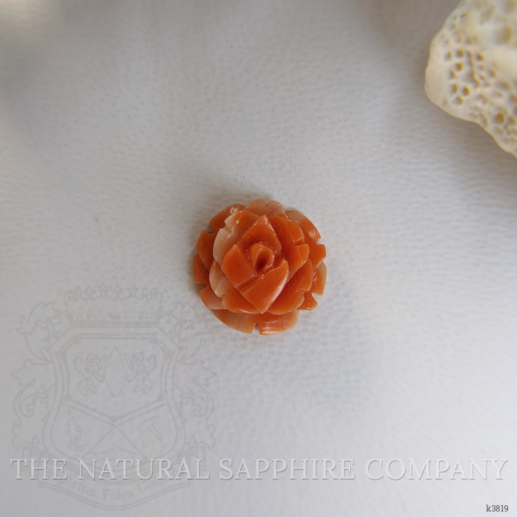 1.81 Ct. Coral from Australia