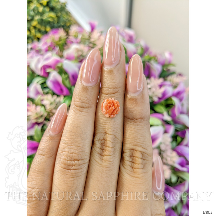 1.81 Ct. Coral from Australia