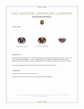 0.71 Ct. Brown Garnet from Ceylon (Sri Lanka) Appraisal