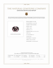 0.71 Ct. Brown Garnet from Ceylon (Sri Lanka) Scan Report