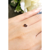 0.71 Ct. Garnet from Ceylon (Sri Lanka) Life Style