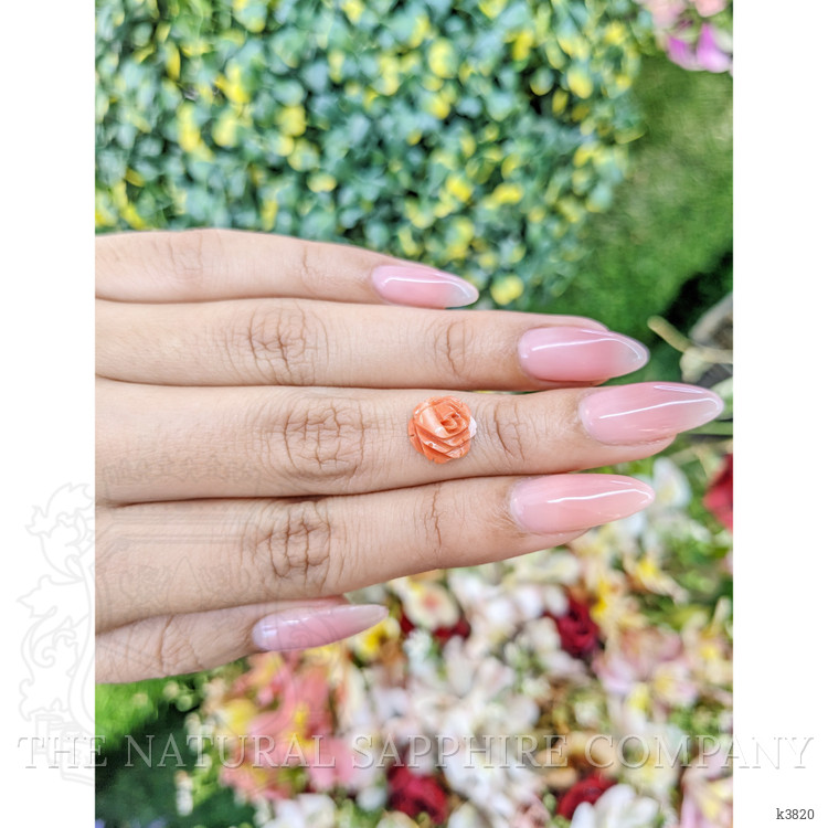 2.36 Ct. Coral from Australia