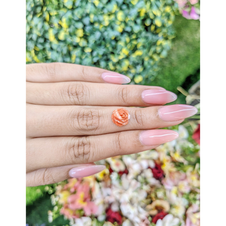 2.36 Ct. Coral from Australia