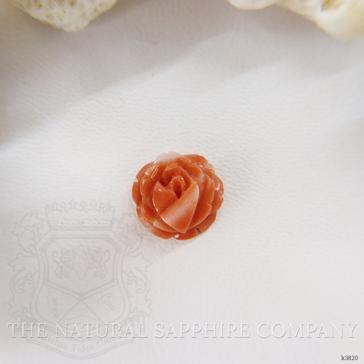 2.36 Ct. Coral from Australia