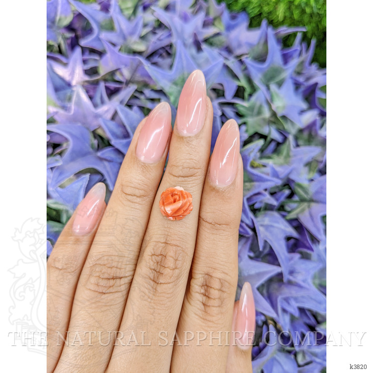 2.36 Ct. Coral from Australia