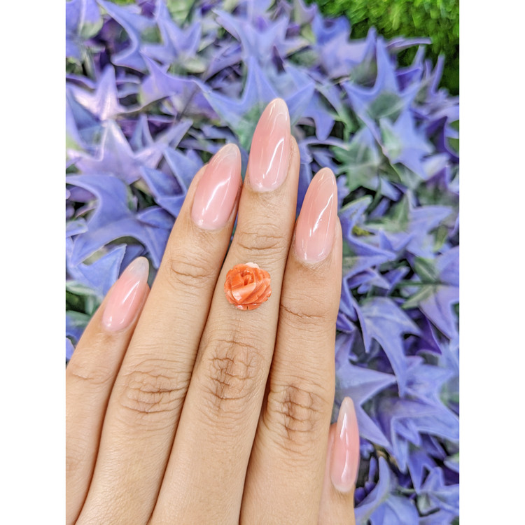 2.36 Ct. Coral from Australia