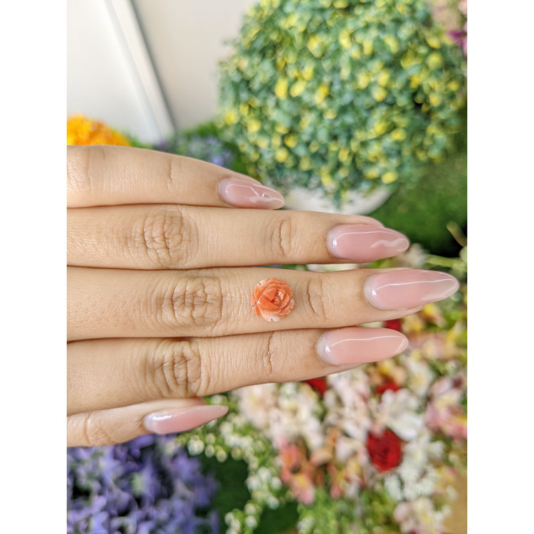 1.64 Ct. Coral from Australia