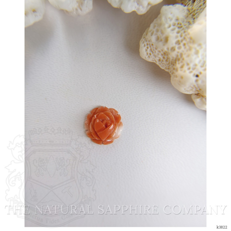 1.64 Ct. Coral from Australia