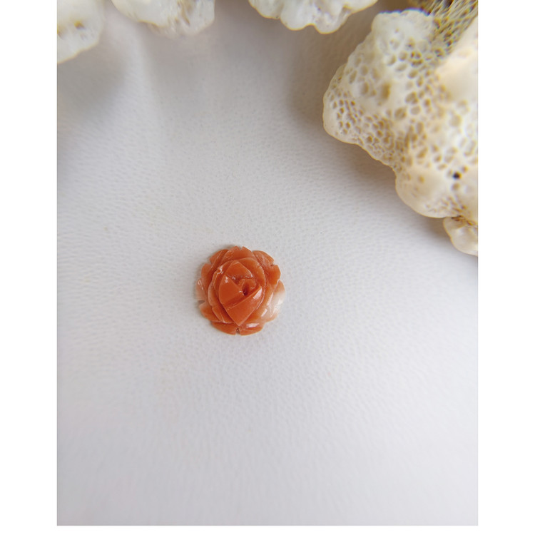 1.64 Ct. Coral from Australia