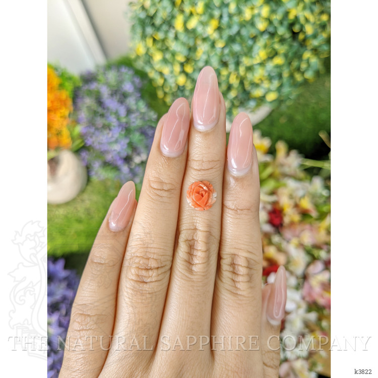 1.64 Ct. Coral from Australia