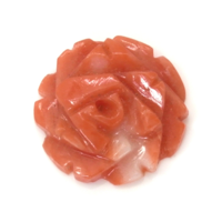 1.80 Ct. Coral from Australia Video