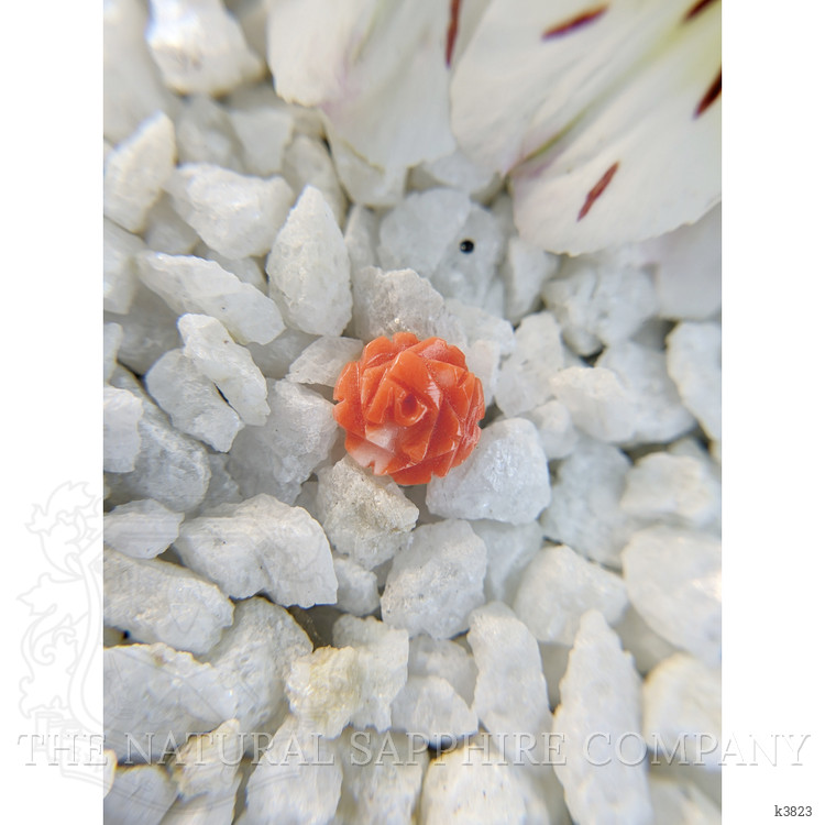 1.80 Ct. Coral from Australia
