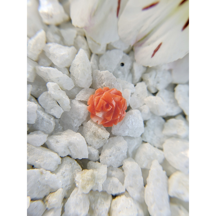 1.80 Ct. Coral from Australia