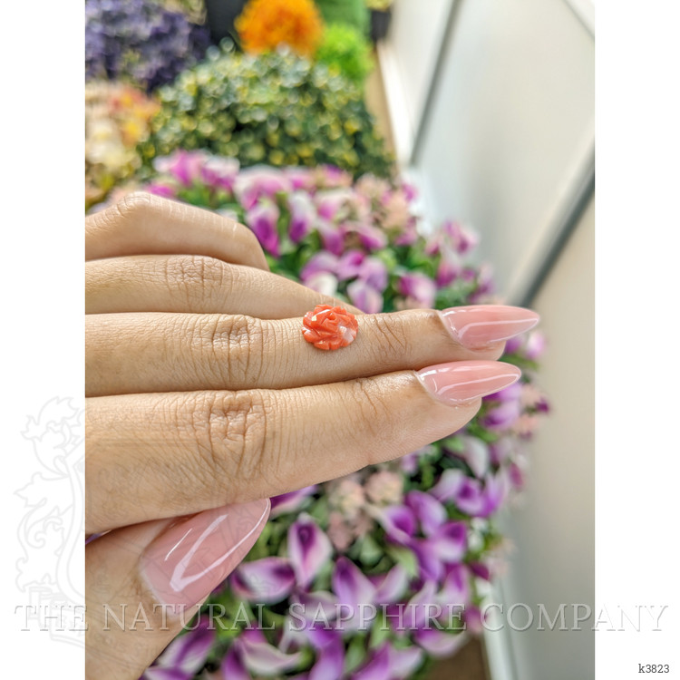 1.80 Ct. Coral from Australia