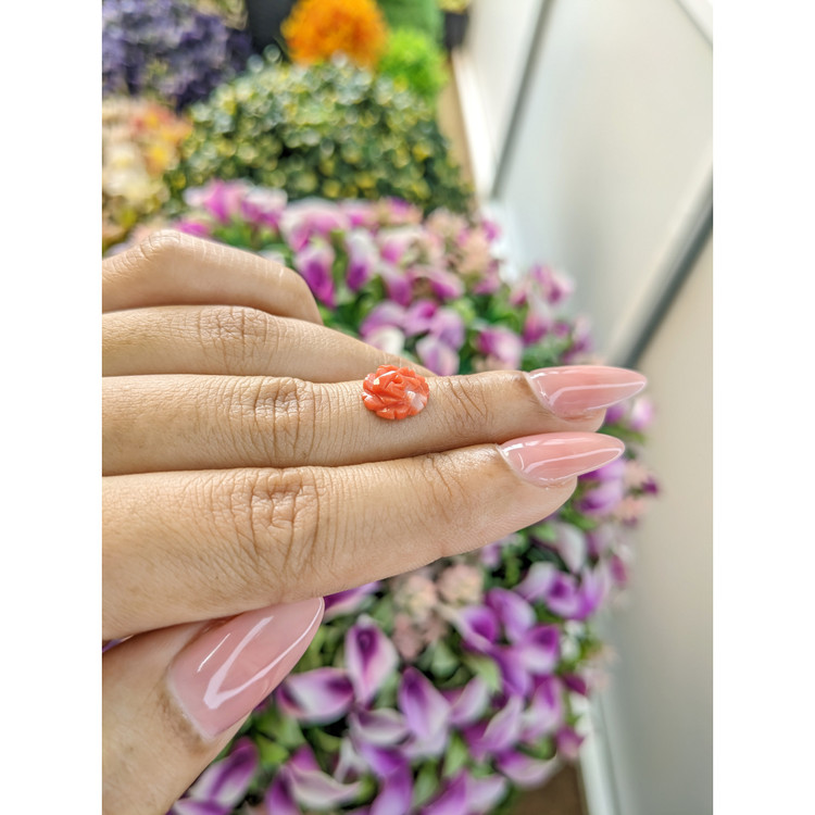 1.80 Ct. Coral from Australia