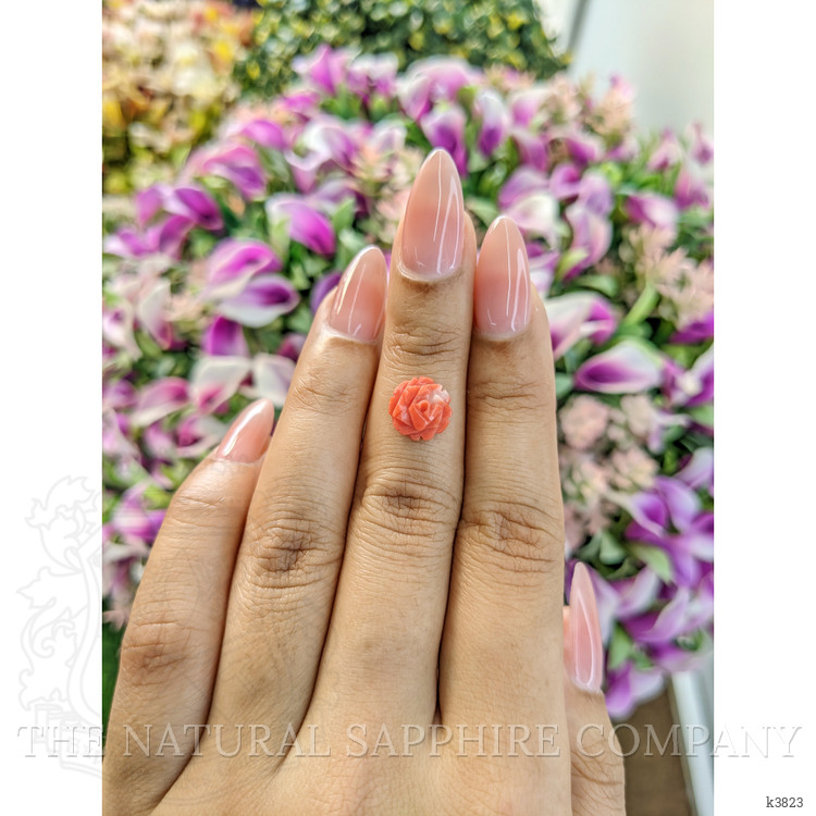 1.80 Ct. Coral from Australia