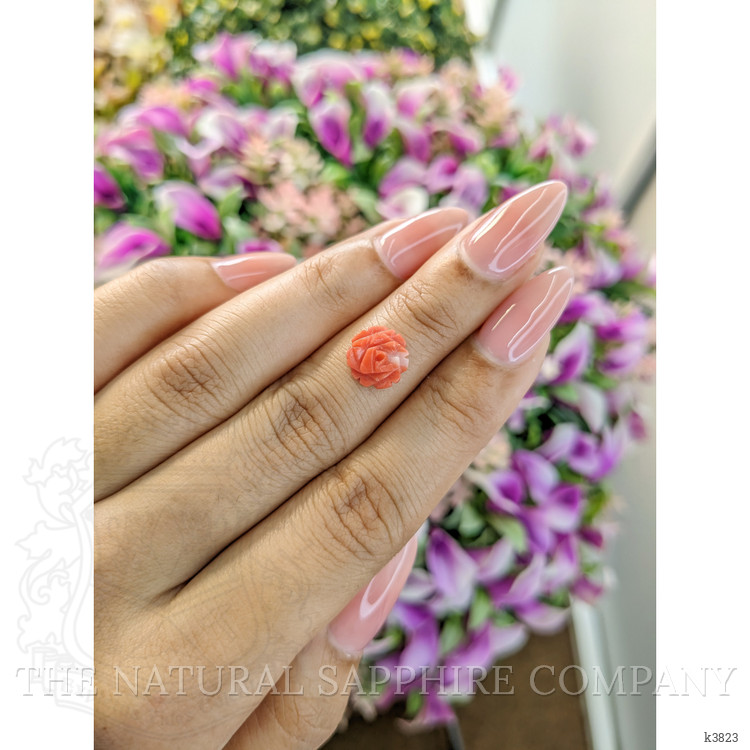 1.80 Ct. Coral from Australia