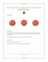 2.36 Ct. Salmon (Orange) Coral from Australia Appraisal