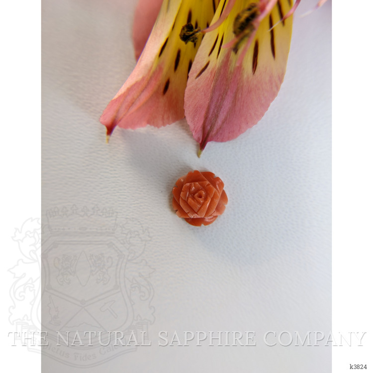 2.36 Ct. Coral from Australia