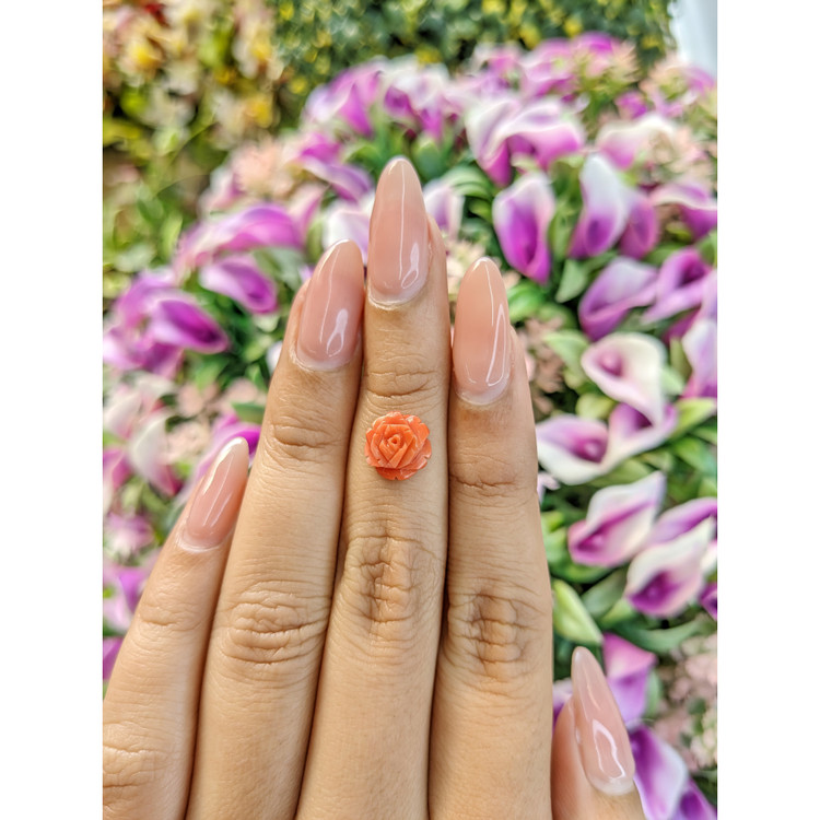 2.36 Ct. Coral from Australia