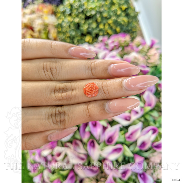 2.36 Ct. Coral from Australia