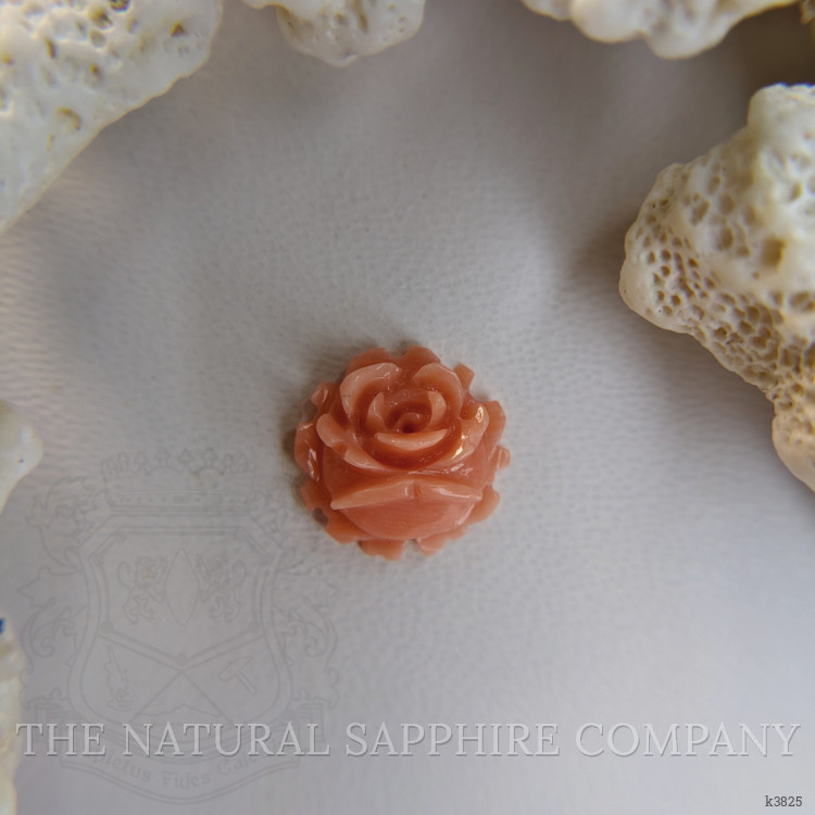 2.73 Ct. Coral from Australia