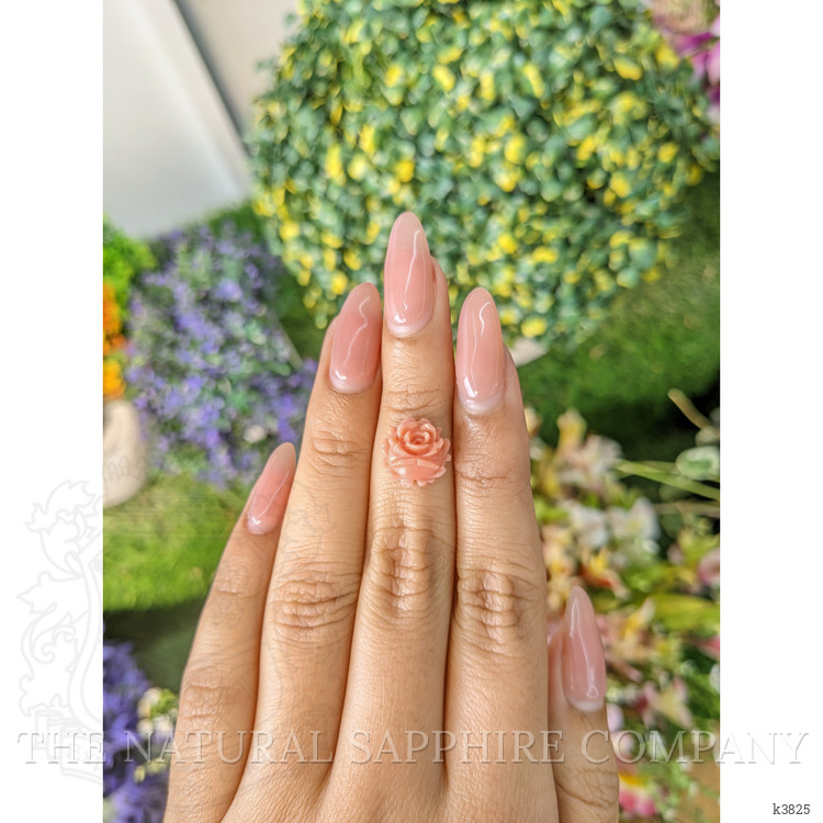 2.73 Ct. Coral from Australia