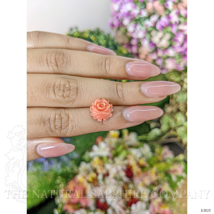 2.73 Ct. Coral from Australia