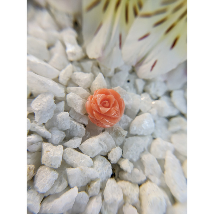 4.88 Ct. Coral from Australia