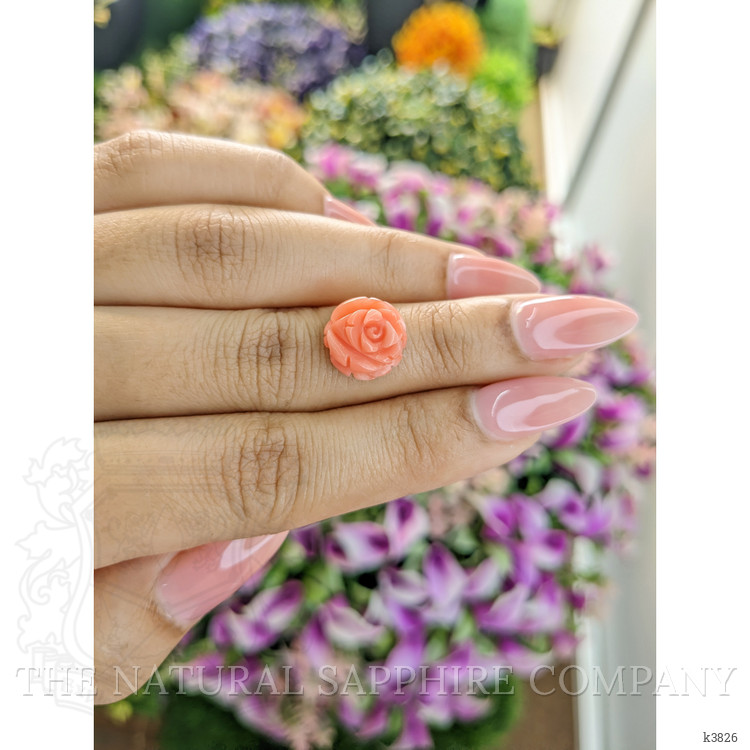 4.88 Ct. Coral from Australia