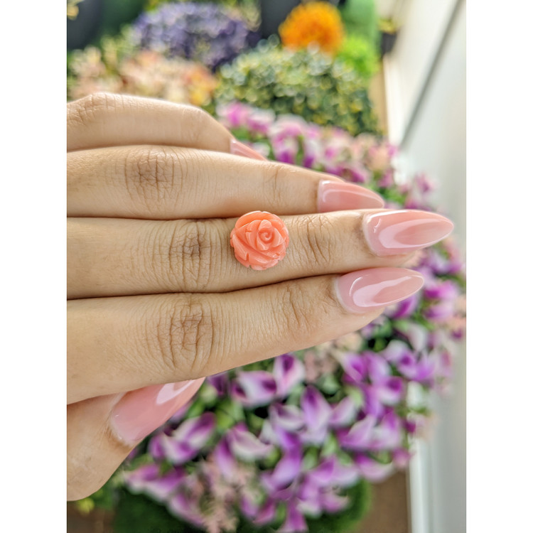 4.88 Ct. Coral from Australia