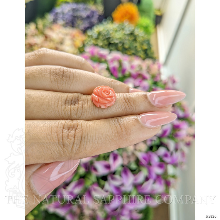 4.88 Ct. Coral from Australia