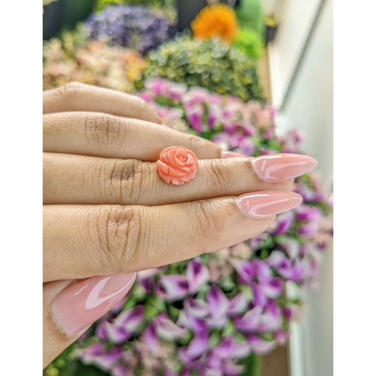 4.88 Ct. Coral from Australia