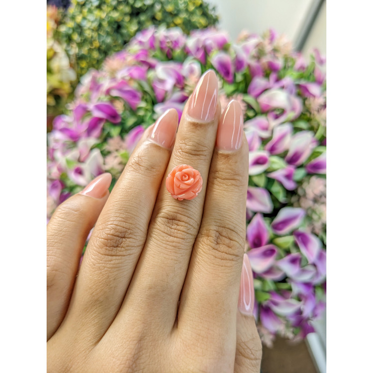 4.88 Ct. Coral from Australia