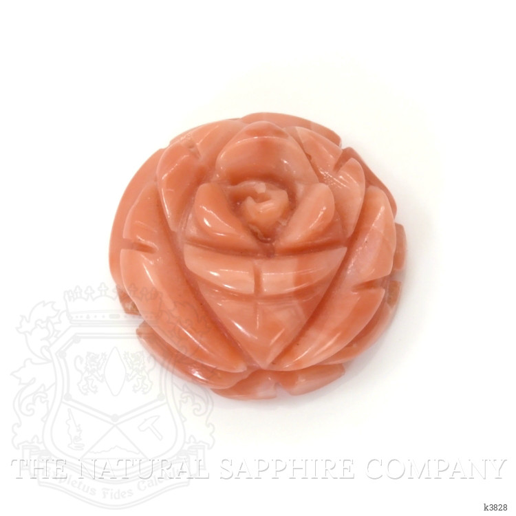 10.00 Ct. Coral from Australia