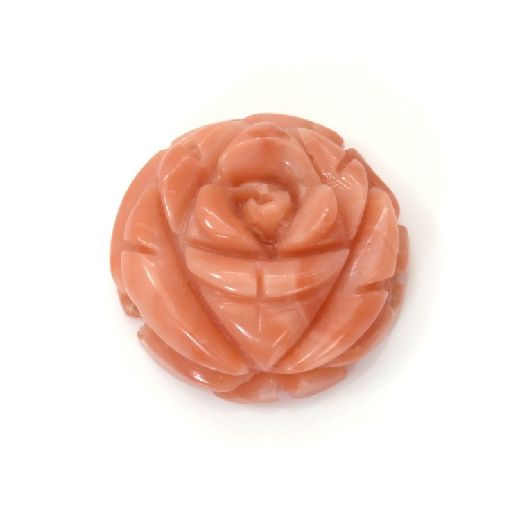 10.00 Ct. Coral from Australia