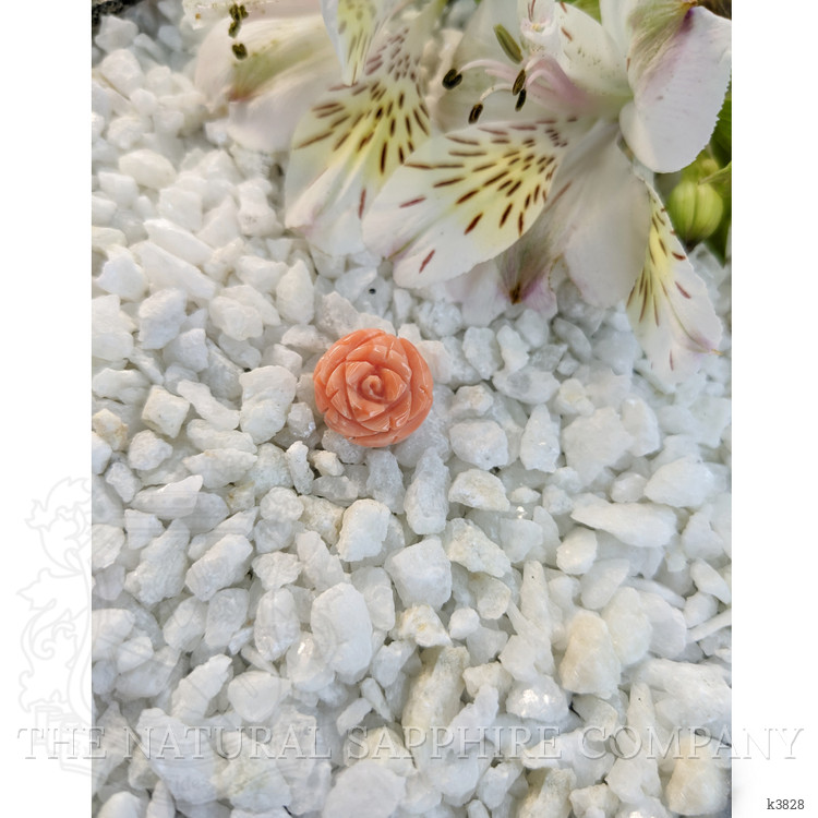 10.00 Ct. Coral from Australia