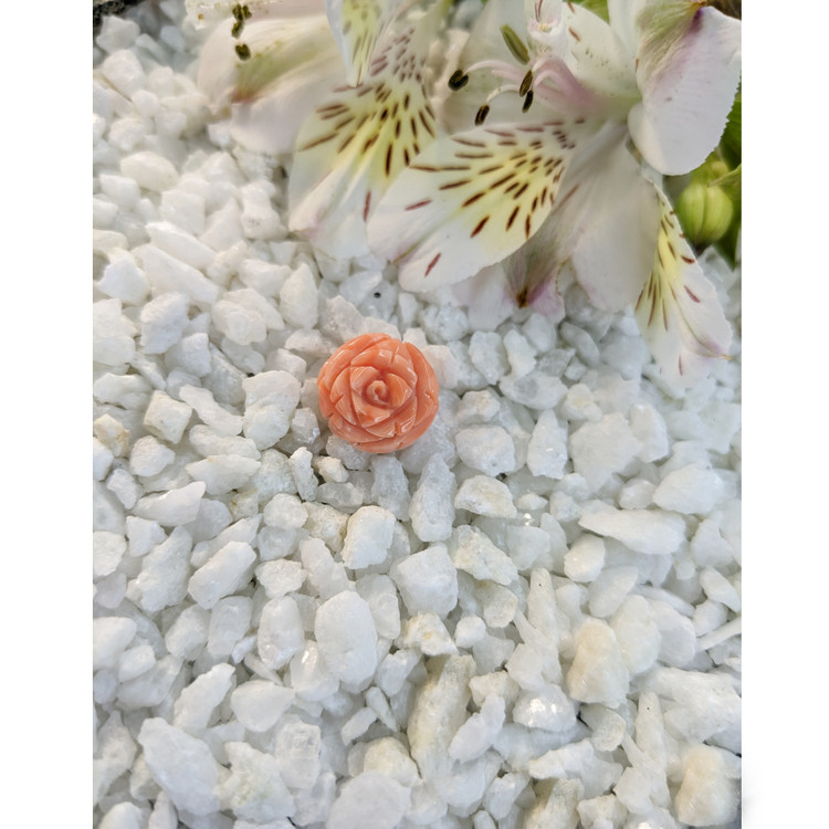 10.00 Ct. Coral from Australia