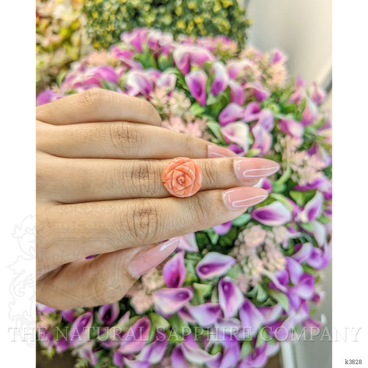 10.00 Ct. Coral from Australia