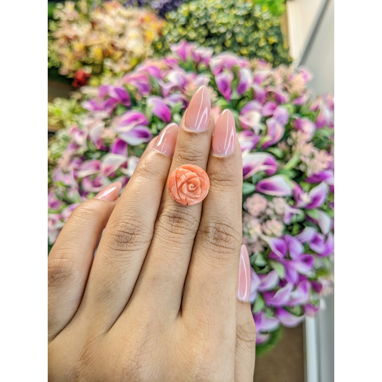 10.00 Ct. Coral from Australia