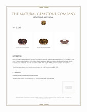 0.75 Ct. Garnet from Ceylon (Sri Lanka) Appraisal