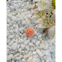 9.36 Ct. Coral from Australia Life Style