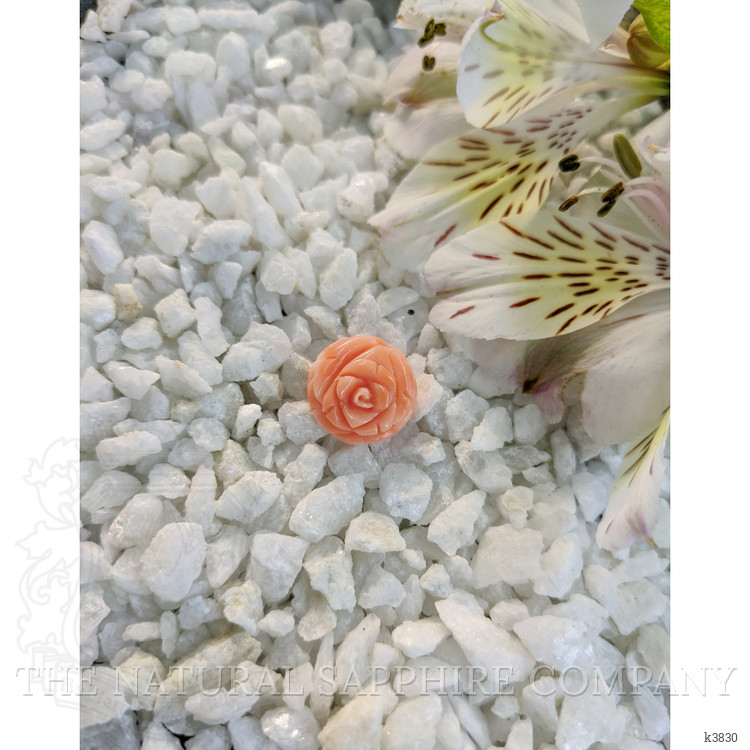 9.36 Ct. Coral from Australia